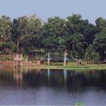 MaharashtraNewsUpdate : हृदयद्रावक : सततच्या वादाला कंटाळून माय-लेकीची सोबतच आत्महत्या