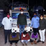 जनावरांची चोरी करणारी टोळी गजाआड स्थानिक गुन्हे शाखेची कारवाई