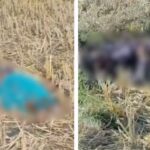 IndiaCrimeUpdate : धक्कादायक : पत्रकाराच्या आई-वडील आणि भावाची कुऱ्हाडीने निर्घृण हत्या